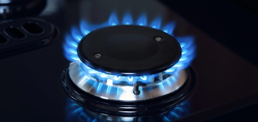 The Bronx Daily | Bronx.com