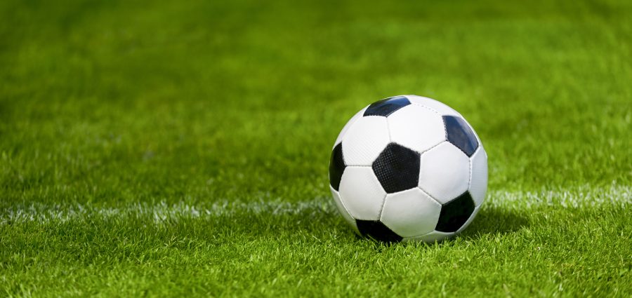 The Bronx Daily | Bronx.com