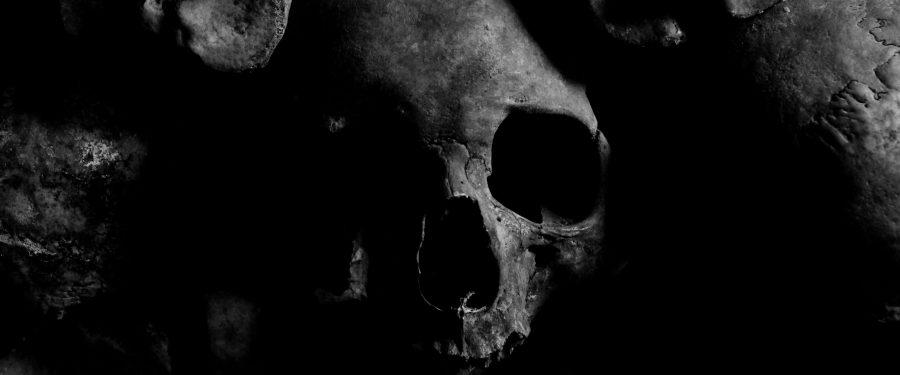 Bones Can Tell Quite A Story