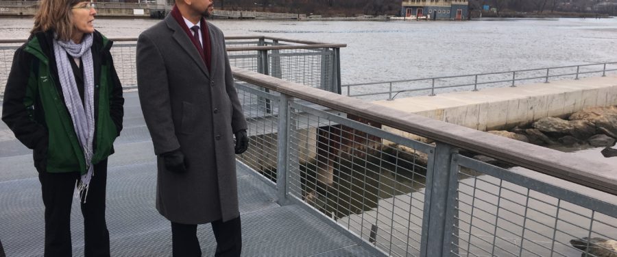 Popular Roberto Clemente State Park South Playground To Reopen