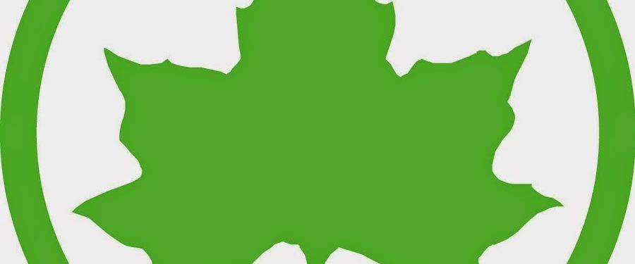 $3.5 Million Reconstruction Of Agnes Haywood Playground