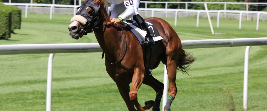 Why Horse Racing In Australia Needs A Social License To Operate