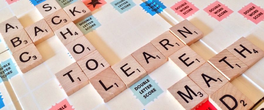 Bronx Charter Schools For Better Learning – Test Scores