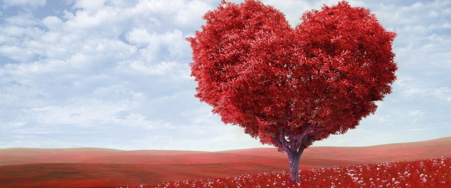 Healthy Heart Habits