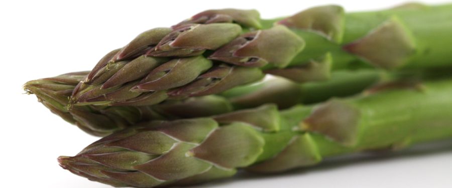 The Essentials Of Asparagus