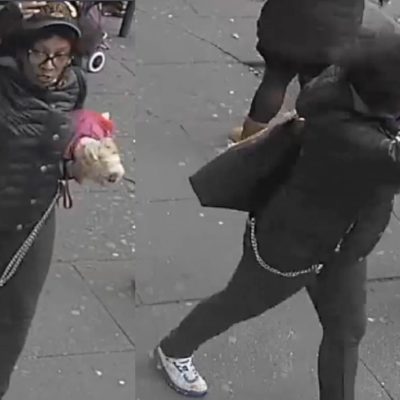 Help Identify An Assault Suspect