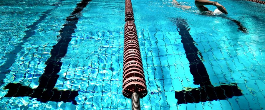 Looking To Hire Director Of Aquatics