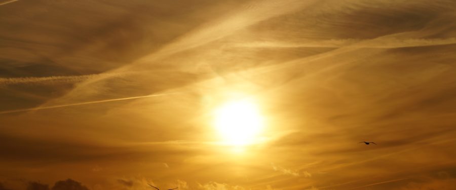 NYC Cooling Centers Open Thursday As The Heat & Humidity Continue