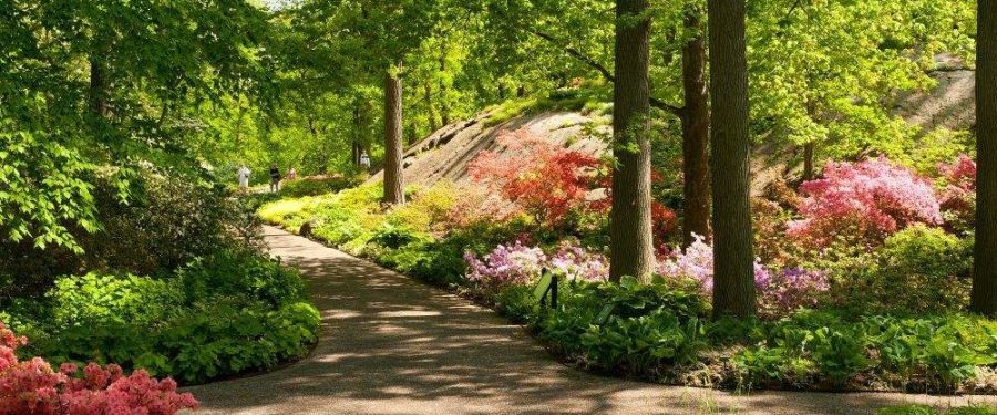 New York City Is Hotspot For Nature