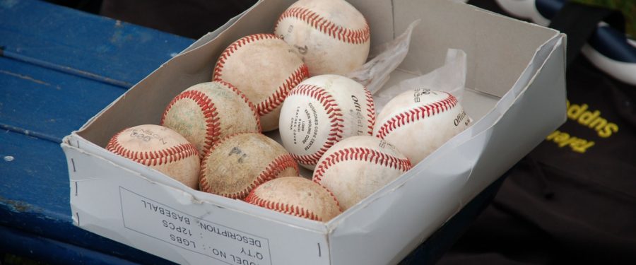 Borough President’s Cup Youth Baseball Family Celebration