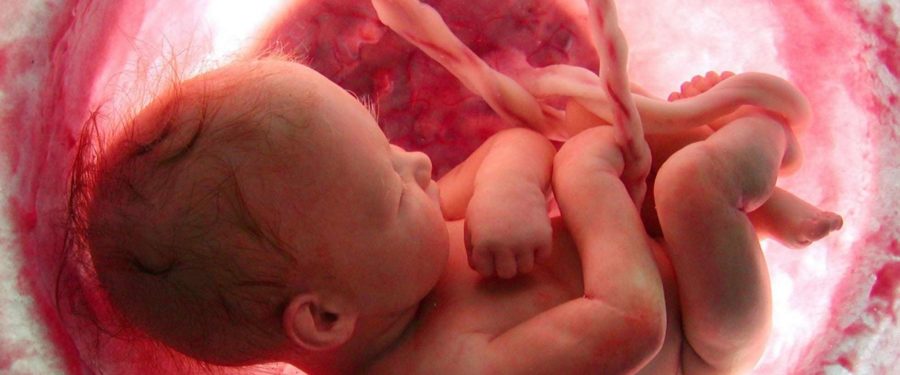 Cuomo Wants NY State To Legalize Abortions Up To The 9<sup>th</sup> Month