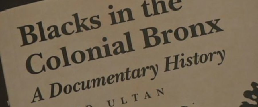Historian Examines Lives Of Slaves In The Bronx
