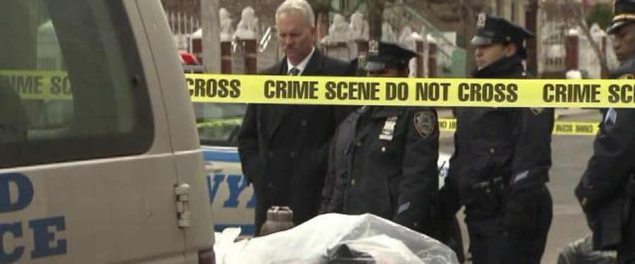 Son Admitted To Dismembering Bronx Mom