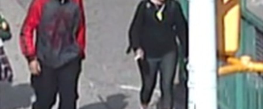 Help Locate Suspect In Bronx Grand Larceny