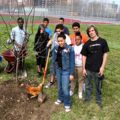 Bronx Students Break Ground On City’s Biggest Orchard