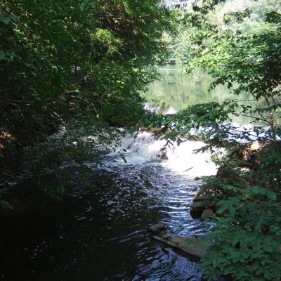 Settlement Money To Clean Bronx River
