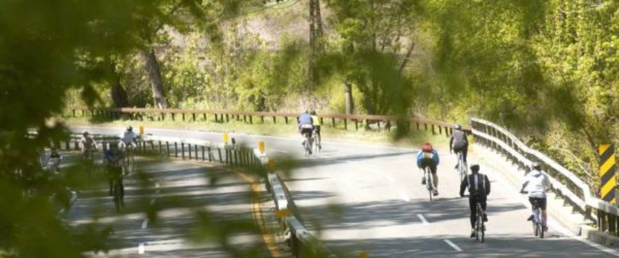 Bicycle Sundays Return To Bronx River Parkway