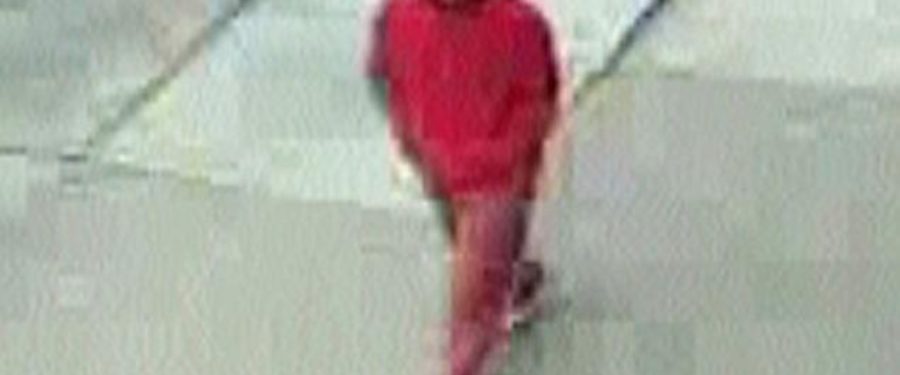 Elderly Bronx Woman Robbed