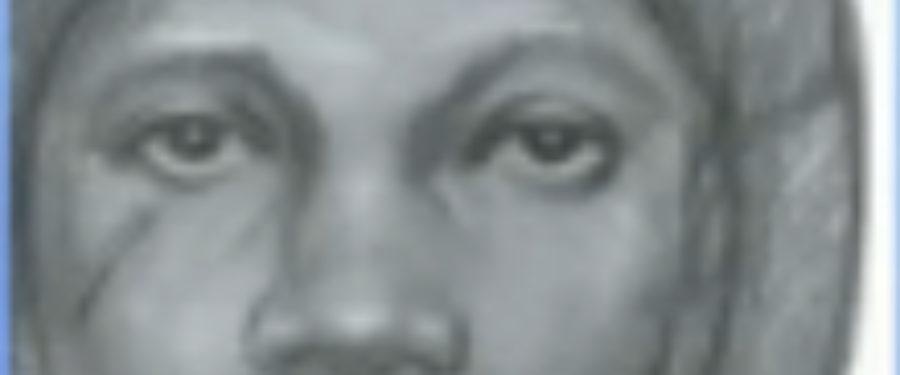 Bronx Serial Groping Suspect Sought