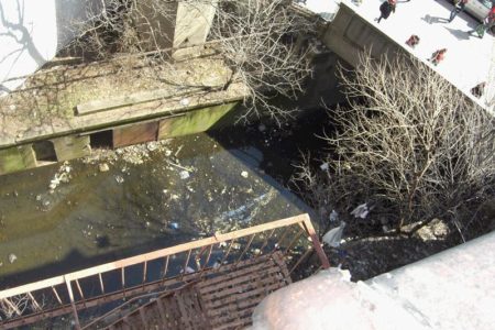 Bronx Swamp To Be Cleaned Up