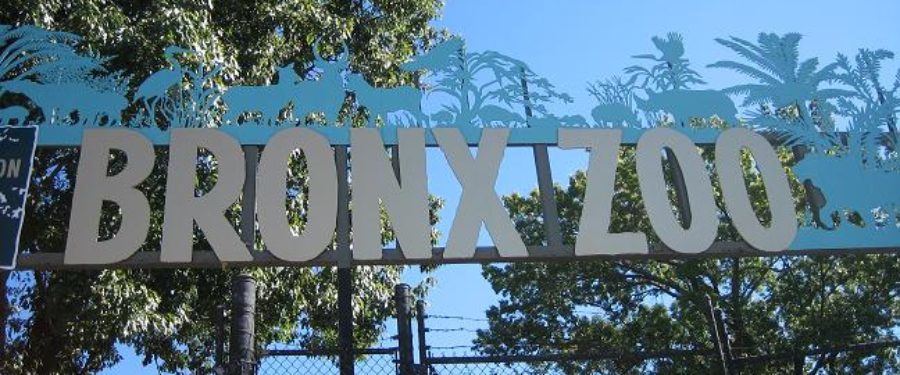 Bronx Zoo Celebrates 110<sup>th</sup> Birthday