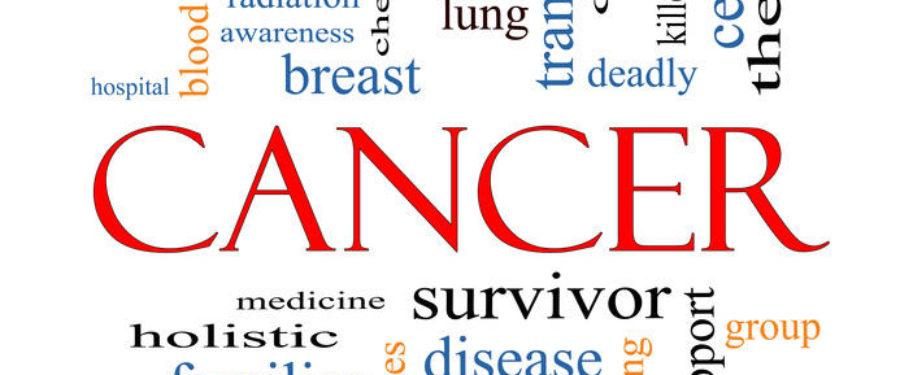 Fundraiser Held for 3-Year-Old Battling Cancer