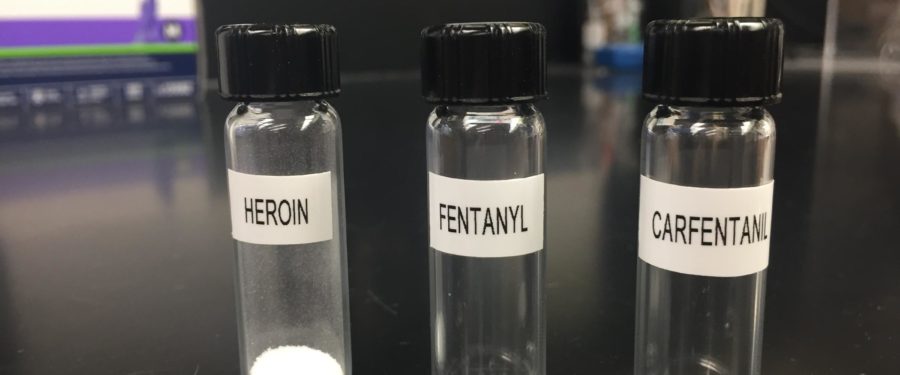 Bronx Trio Faces Charges For Conspiring To Sell Carfentanil