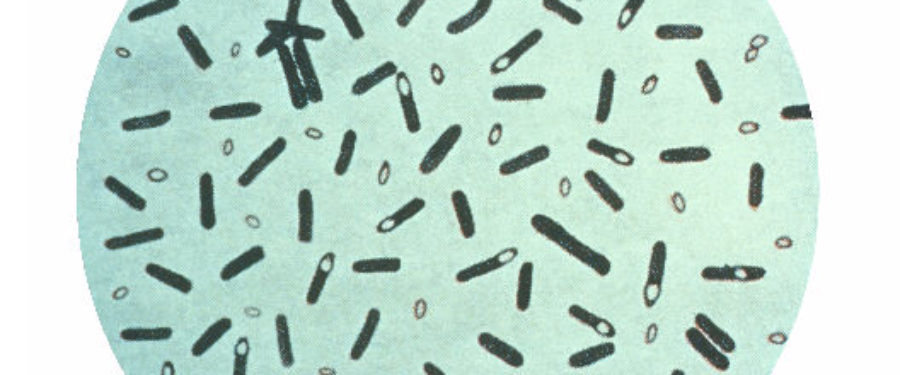 Alert: Possible Botulism Contamination