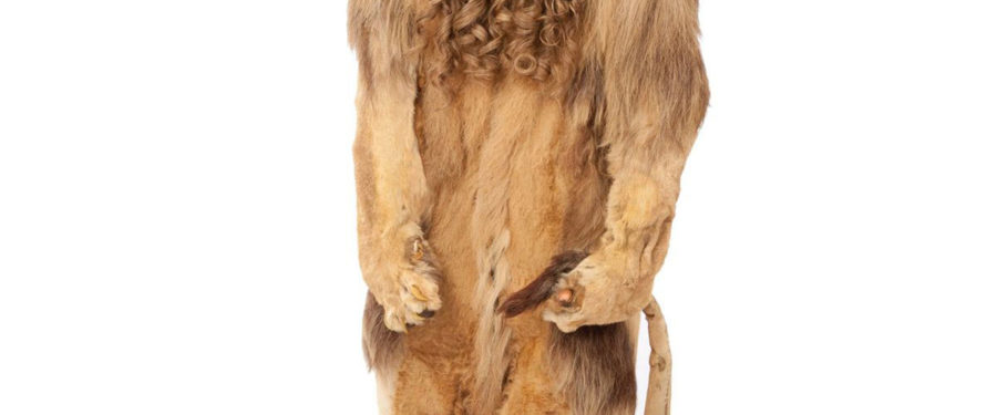‘Wizard Of Oz’ Cowardly Lion Costume Fetches $3M At Auction