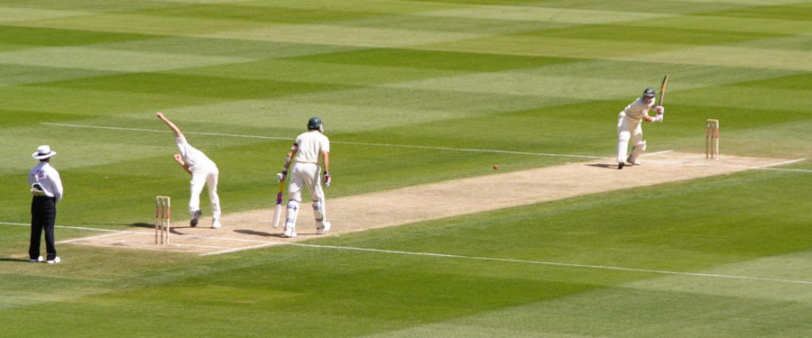 $13M Cricket Complex Opens In Bronx