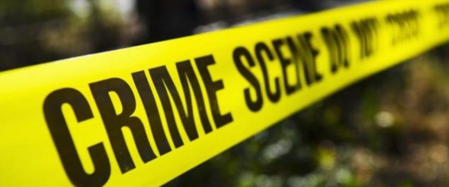 Bronx Drug Ring Busted