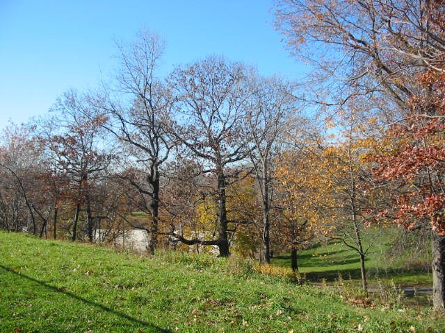 Autumn in Crotona Park