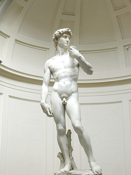Michelangelo's actual David.