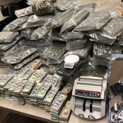 97 Pounds Of Marijuana, $930K Seized In Brooklyn Apartment