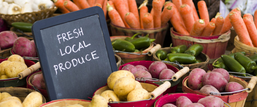 Bronx Food Hub Project Wins $2.5m In Federal Funding