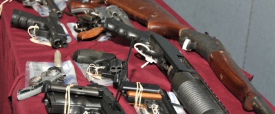 354 Weapons Bought Back In Bronx