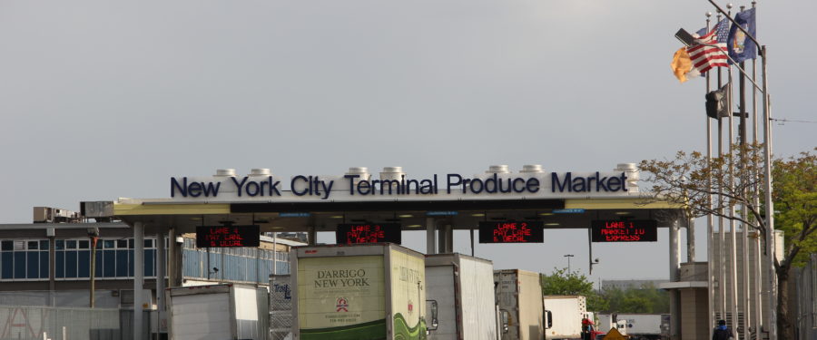 NYCEDC’s Plans For The City & Bronx