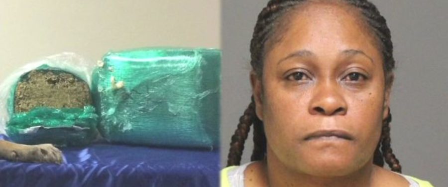 Bronx Woman Charged In Pot Bust