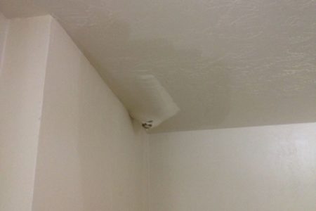 Bronx Apartment Of Woman With Cerebral Palsy Keeps Leaking