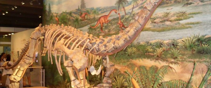 A Dino Growing At Record Speeds