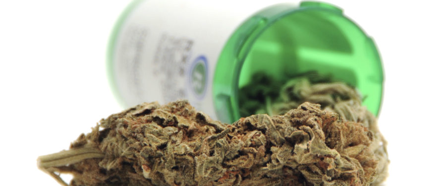 Green Revolution – Cannabis & Entrepreneurship