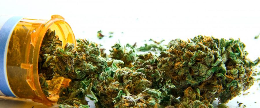 Medical Cannabis Arrives In The Bronx