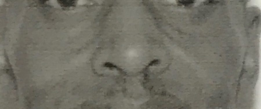 Lorenzo Holmes, 70 Missing