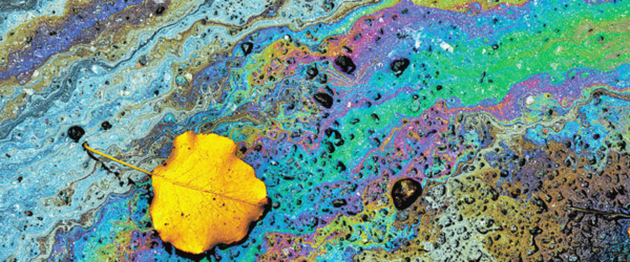 Preventing Pollution From Car Repair Businesses In South Bronx