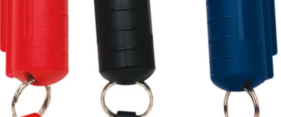 Bronx HS Pepper Spray Incident