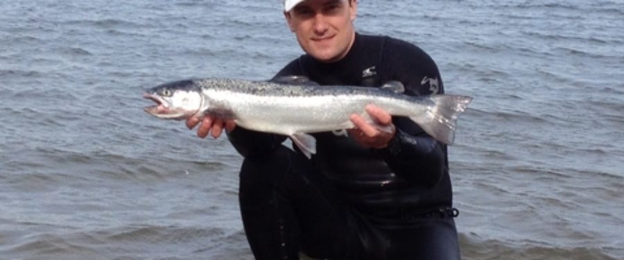 Angler Lands Atlantic Salmon In Bronx