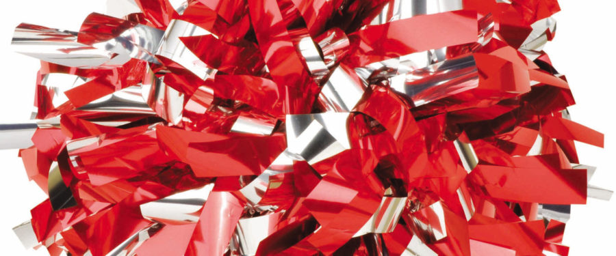 James Monroe Cheerleaders Head To Nationals