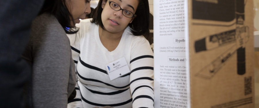 Raychell Vélez Wins Bronx SciFest