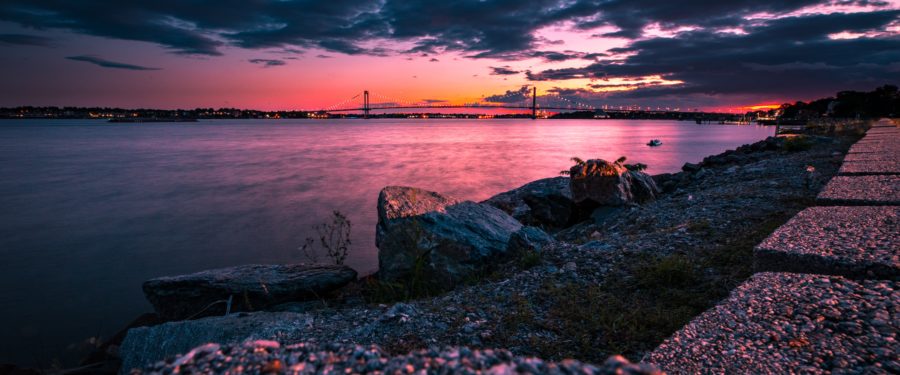 Stop The Gentrification Of Bronx By Investing Locally