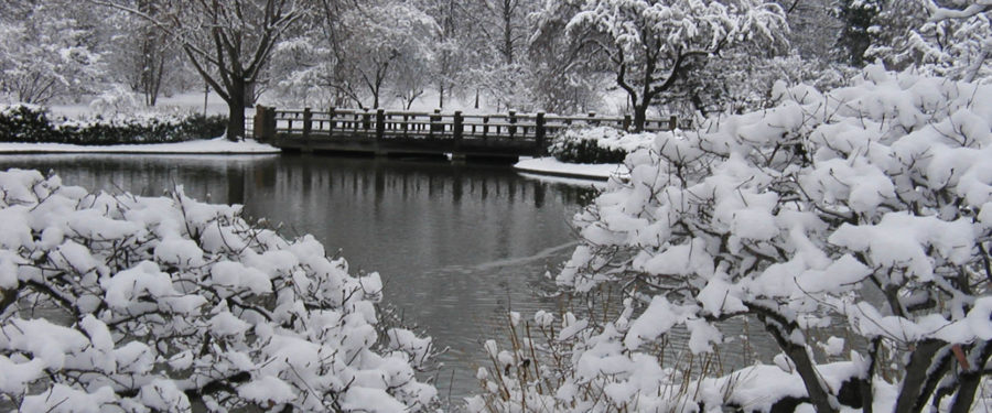 When Snow Was Glorious